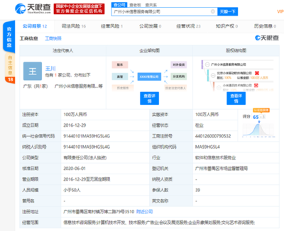 洪鋒卸任廣州小米信息服務法人等職位，信息技術咨詢服務業務調整引關注